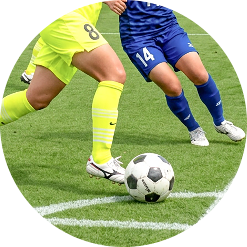試合観戦